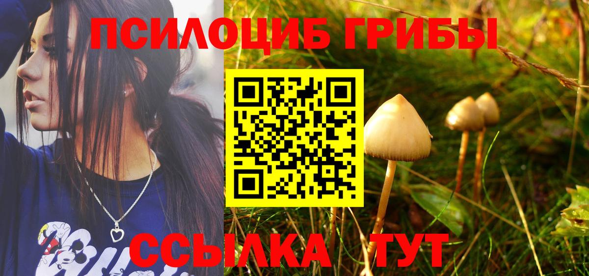 Галлюциногенные грибы GOLDEN TEACHER Ялта